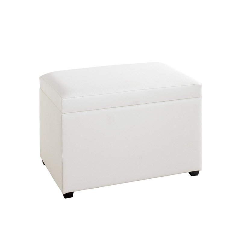 Meilich Faux Leather Accent Trunk