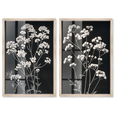 «Starry Parsley Duet Shadowbox», ensemble d'art floral noir par Art Remedy, cadre blond, 10 x 15