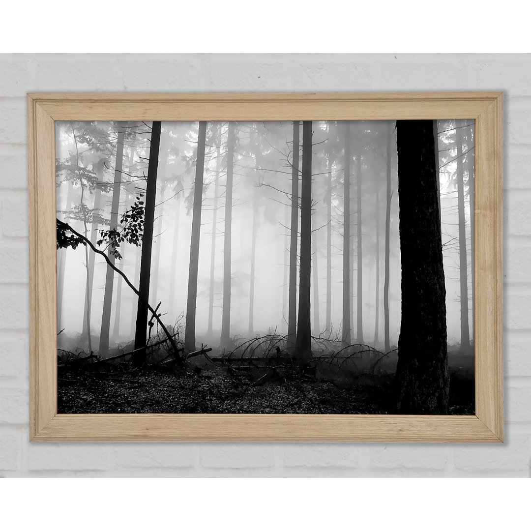 Black N Woodland Mist - Einzelner Bilderrahmen Kunstdrucke