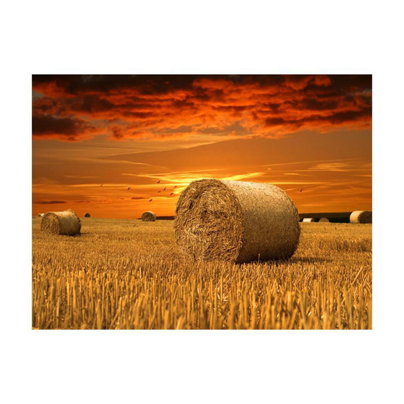 Roslie Wall Mural, 121" L x 157" W