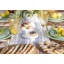 Serviette en coton 20 po Colmar
