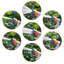 Plastic Hose Reel
