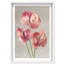 Crimson Silk Veins II Shadowbox Floral & Botanical Print by Oliver Gal, Black Frame, 10 x 15-1147583936-1147583951