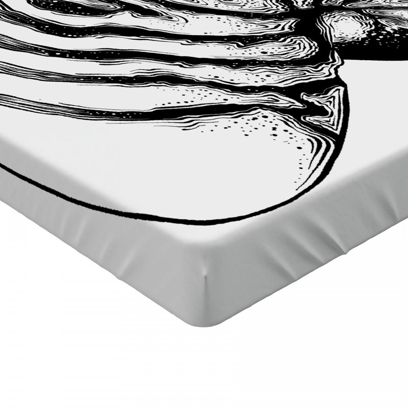 Microfiber Fitted Sheet, Twin XL Fitted Sheet