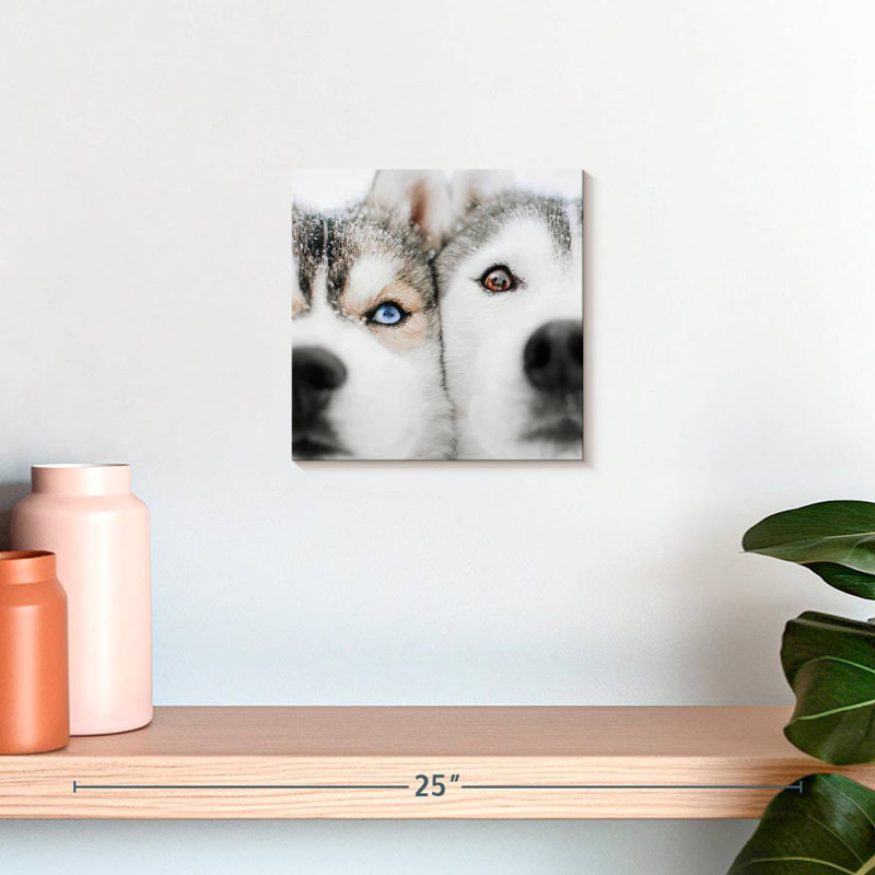 Crowle Husky Faces, 10" H x 10" W