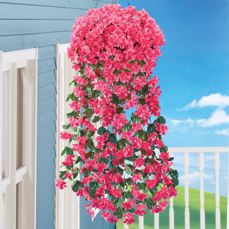 Buissons suspendus artificiels, Fuchsia