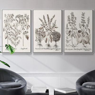 Sepia Besler Botanicals I 3 Pieces