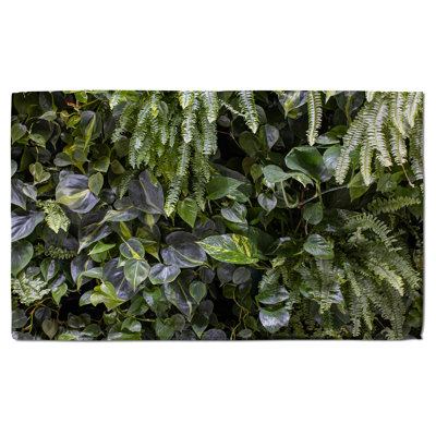 Donnette Midweight Bath Towel