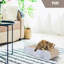 Lit orthopédique pour chat-88880149