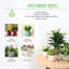 Ensemble de support à plante 4 pièces Agustya