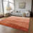 Lavonia Flatweave Washable Ombre Indoor / Outdoor Rug-550838052