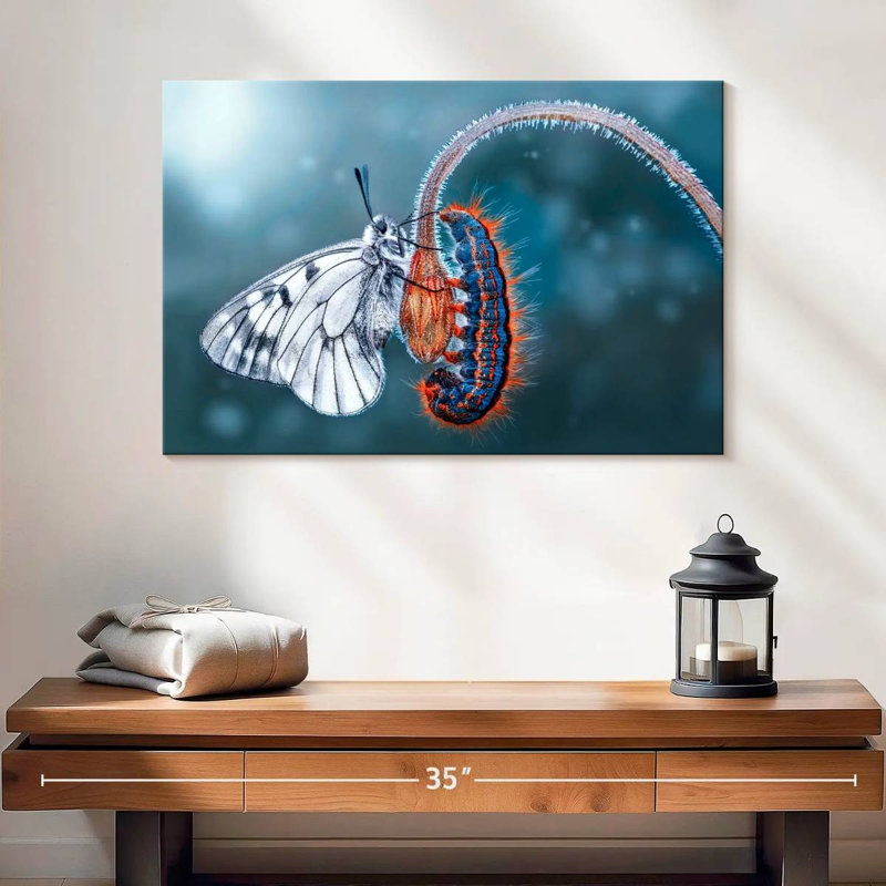 Brampt Butterfly Destiny, 16" H x 24" W