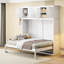 Armoire de lit blanche - Polyvalent pour la salle de sport et les petits appartements, pliable et efficace pour économiser de l'espace
