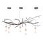 Ine 5 - Light Chandelier