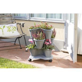 Vertical Garden