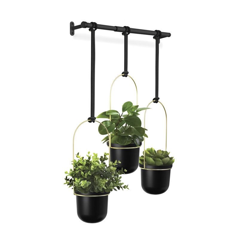 Hanging Planter, Black/Brass