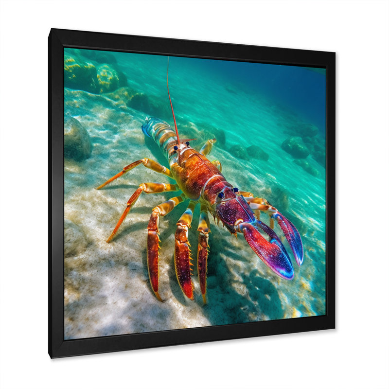 Homard rouge dans une eau turquoise tropicale - impression, Cadre photo noir simple, H 30 po x l 30 po x P 1 po