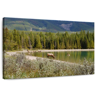 Alvord Lake Annette Elk