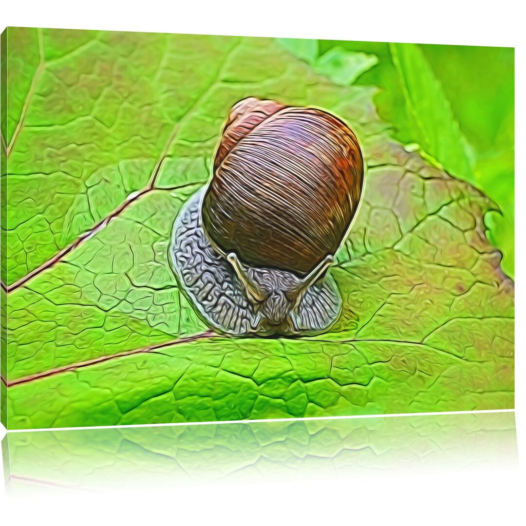 Leinwandbild Kleine Schnecke mit Schneckenhaus in Hellgrün