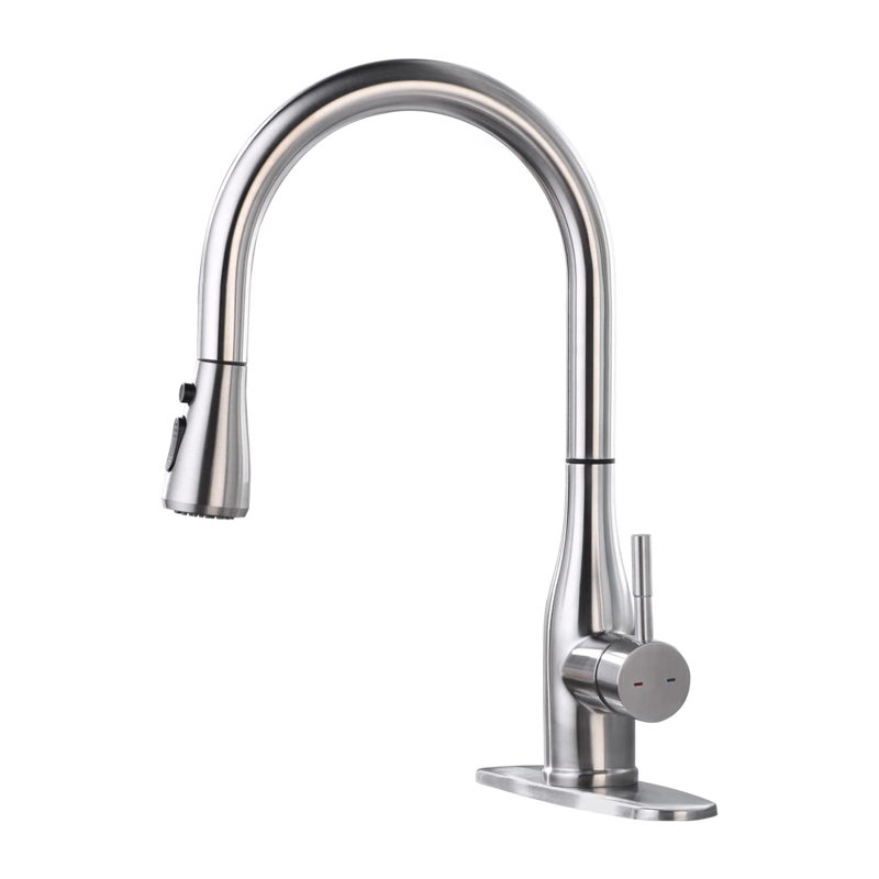 ARRISEA Pull Down Kitchen Faucet