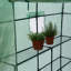 Outdoor Patio Walk In Hobby Green House