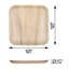 Assiettes jetables de 10 po - Compostables
