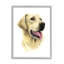 Labrador Retriever énergique-69576473-69576467