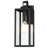 Schlesinger Outdoor Rectangular Clear Glass Shade Wall Light-233855030-189313783