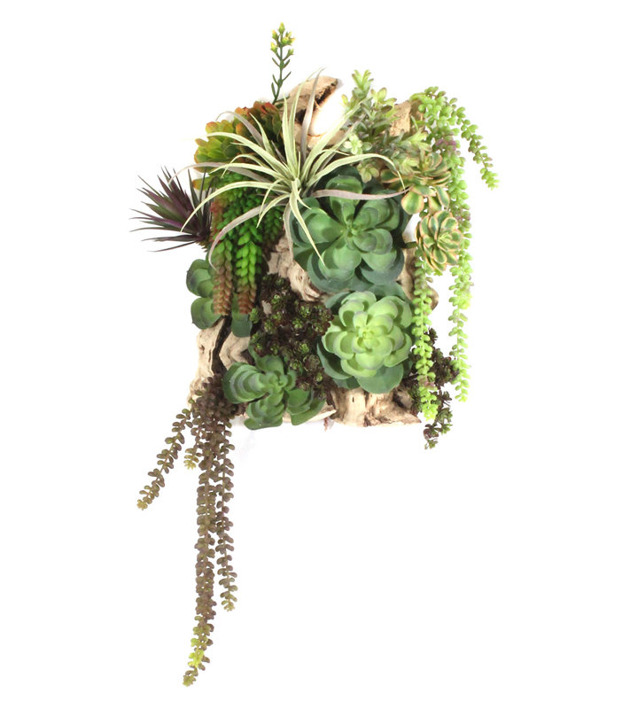 Faux Succulent Plant in Wood Wood Frame