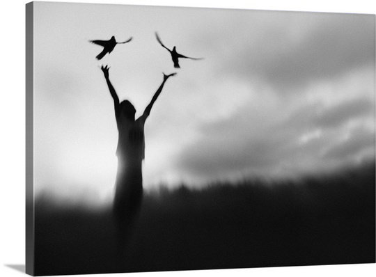 «Free Fly» par Sebastian Kisworo, reproduction de photo de Straub, H 18 po x l 24 po x P 1,25 po, Toile