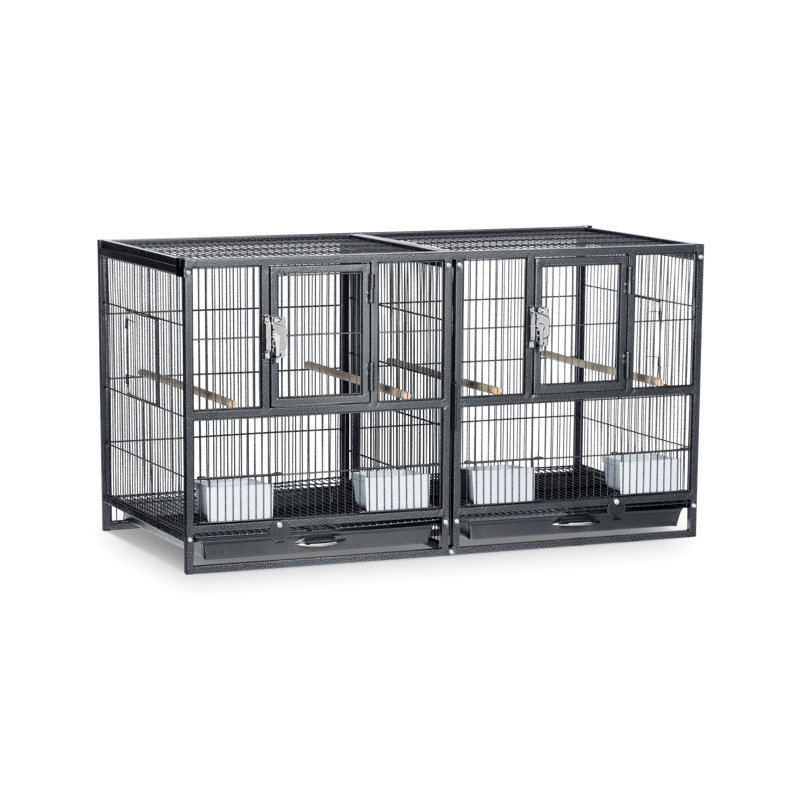 Hampton Deluxe Black Steel Divided Breeder Bird Cage