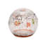  Autumn Robin LED Light Up Orb
