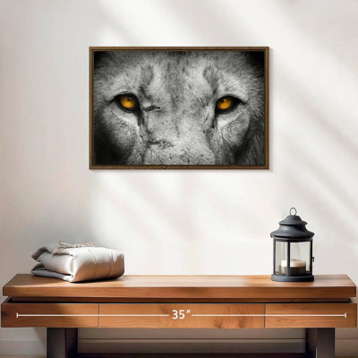 Pop aux yeux de lion