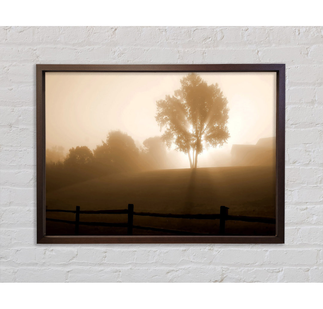 Foggy Morning - Einzelner Bilderrahmen Kunstdrucke auf Leinwand