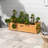 Pacen Planter Box