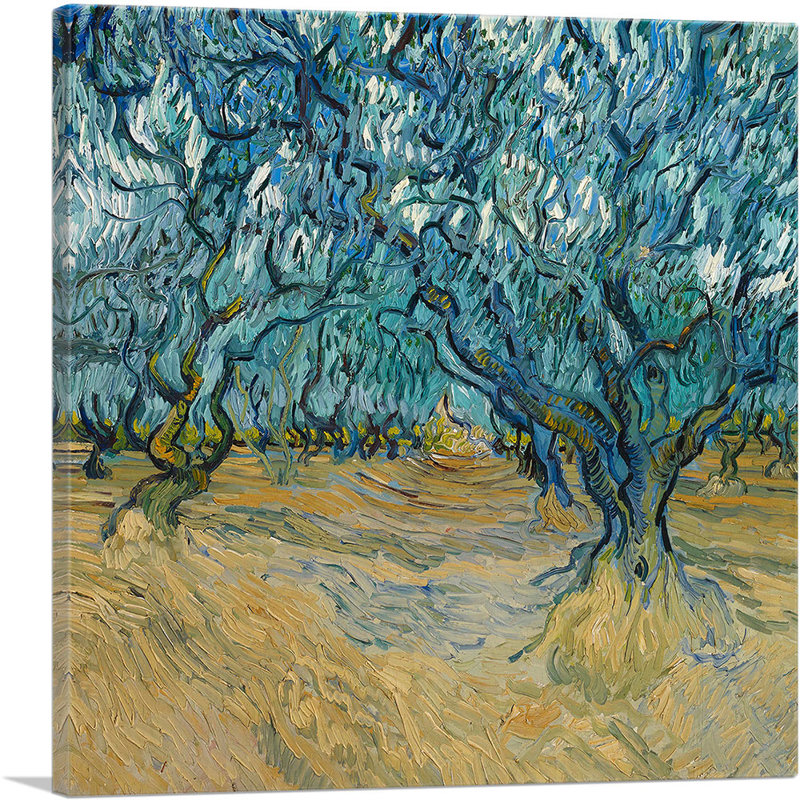 "Olive Orchard at Saint-Remy 1889" par Vincent Van Gogh, reproduction d'art sur toile tendue, H 12 po x l 12 po x P 1,5 po