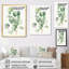 «White Green Minimalisme Eucalyptus Essence V» sur toile-545596010-545596012