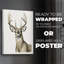 «Handsome Whitetail I», impression sur toile seulement - non encadrée