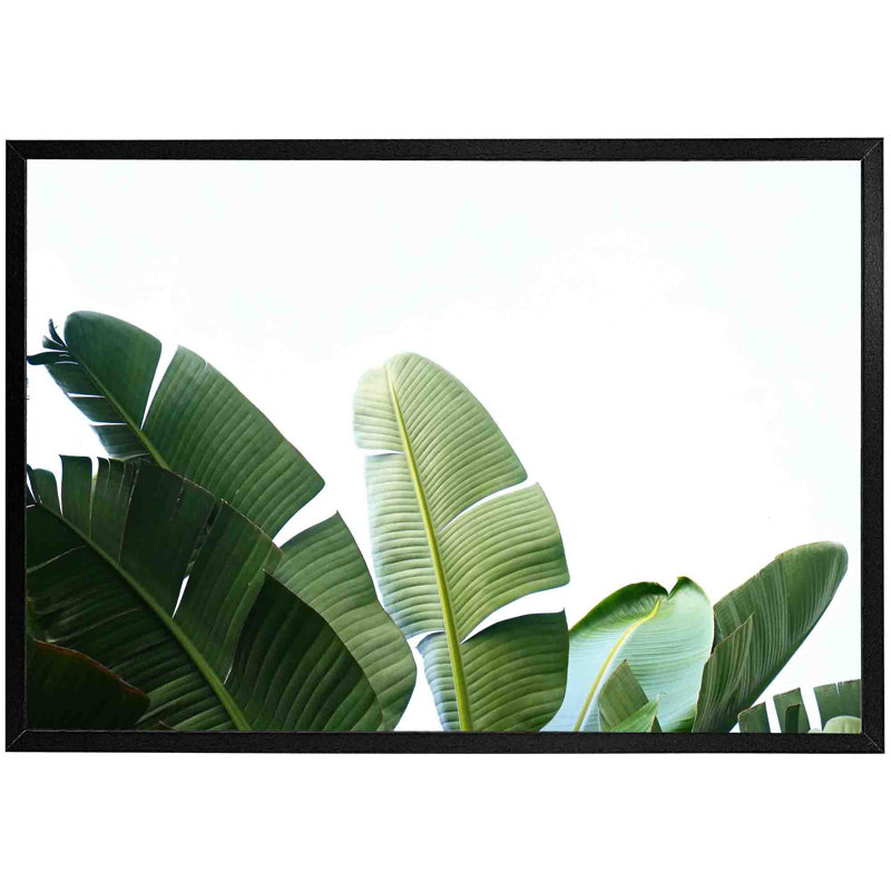 Sushant Banana Leaves - Single Picture Frame Print, Black, 41cm H x 61cm W x 4cm D