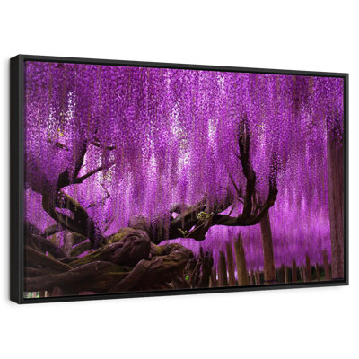 Wisteria Willow Tree