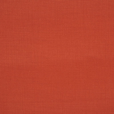 Shenanigans Fabric