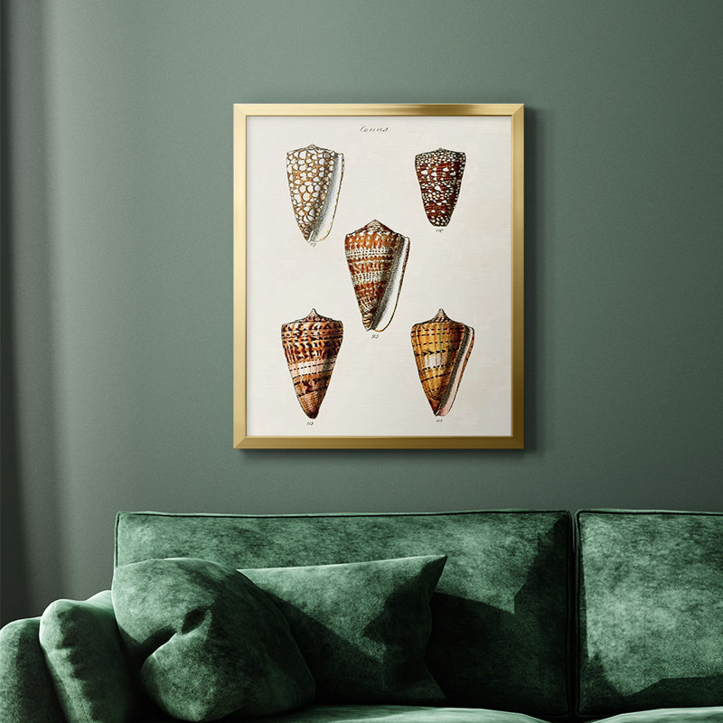 Toile encadrée de qualité supérieure Cone Shell Collection II - prête à être accrochée, Or, H 24 po x l 20 po