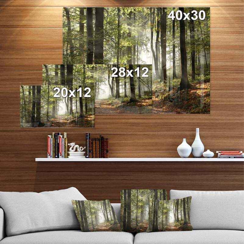 «Green Fall Forest with Sun Rays - Forest», reproduction de photo, H 12 po x l 20 po, Impression encadrée, Argent argent
