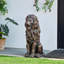 Statue de lion, sculptures de jardin-133703561-133703563
