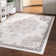 Oriental Indoor Rug