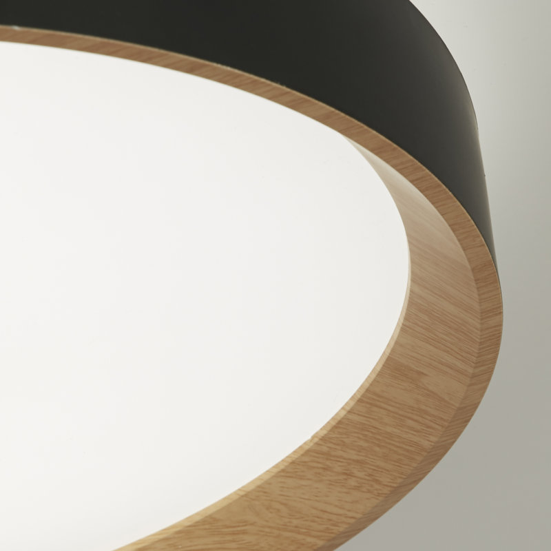 Reyanshi Plastic LED Flush Mount