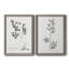 «Botanical Imprint I», ensemble de 2 peintures sur toile encadrées-1115055550-1115055525