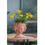 Tête de jardinière à buste pour la maison, décoration de jardin-1216066995-1233877139