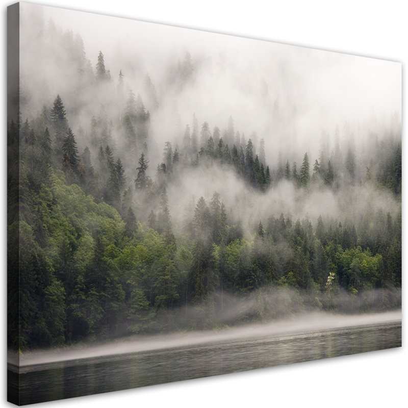 Mural, forest in the fog, 80cm H x 120cm W