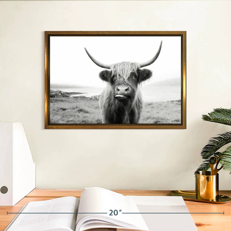 Drôle de vache Highland, Cadre flottant doré, 13 po x 9 po
